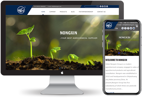 外貿推廣 外貿推廣