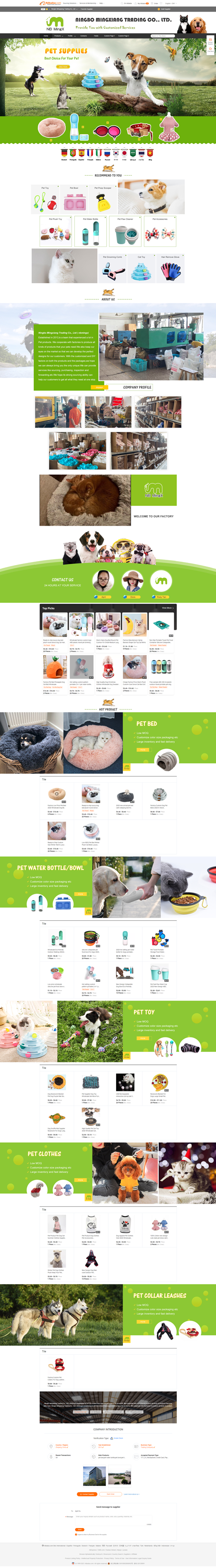 寵物行業阿里國際站代運營案例